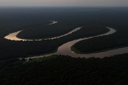 Río Tefe, en el Amazonas, Brasil, el 23 de octubre de 2024.