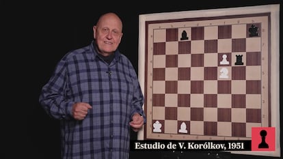 Vídeos de ajedrez | Los conejos mágicos de Vladímir Korólkov