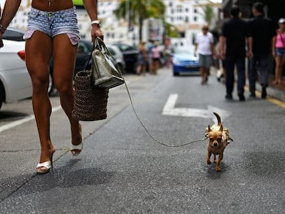 A shopper in Marbella, a hotspot for Spanish and international fortunes.