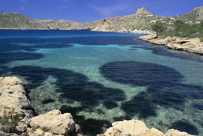 Parque nacional marítimo terrestre, que administrativamente pertenece a Palma de Mallorca, es un conjunto de islotes que, gracias a su aislamiento, conservan inalterado su ecosistema insular mediterráneo. Con flora endémica como el astrágalo de las Baleares, rubia, tragamoscas o hipericón balear. Este parque incluye colonias de aves marinas (ha sido declarado como ZEPA, Zona de Especial Protección para las Aves) y uno de los fondos marinos mejor conservados del litoral.