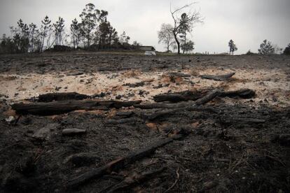 Imagen de como ha quedado la zona tras el incendio