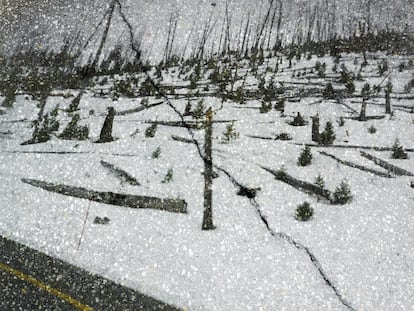 Parque nacional de Grand Teton, Wyoming (2011).