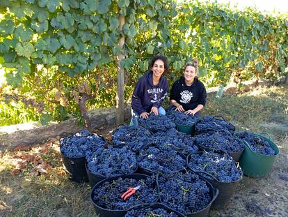 Patricia Rodríguez Chao y Sofía Ferreiro, cofundadoras de Levinred.