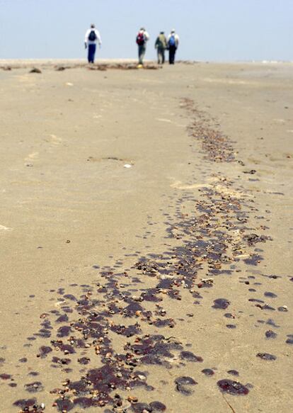 Miembros del Equipo de Evaluación de Limpieza Costera sigue el rastro de manchas de petróleo que han llegado a las costas de la isla Raccoon Island en Luisiana