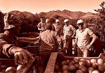 Recolectores durante una campaña citrícola.