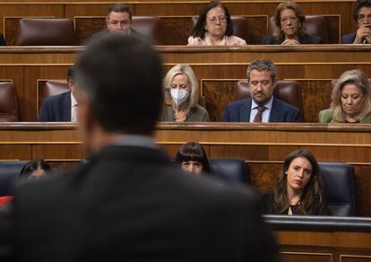 El presidente del Gobierno, Pedro Sánchez, interviene durante una sesión plenaria en el Congreso de los Diputados, el pasado 30 de noviembre.