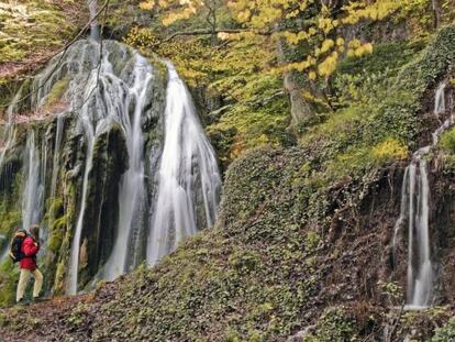 Cascada entre hayas en las cercan&iacute;as de Goiuri (&Aacute;lava). 