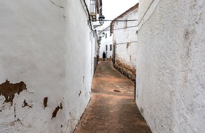 Calles de Torralba del Pinar. 