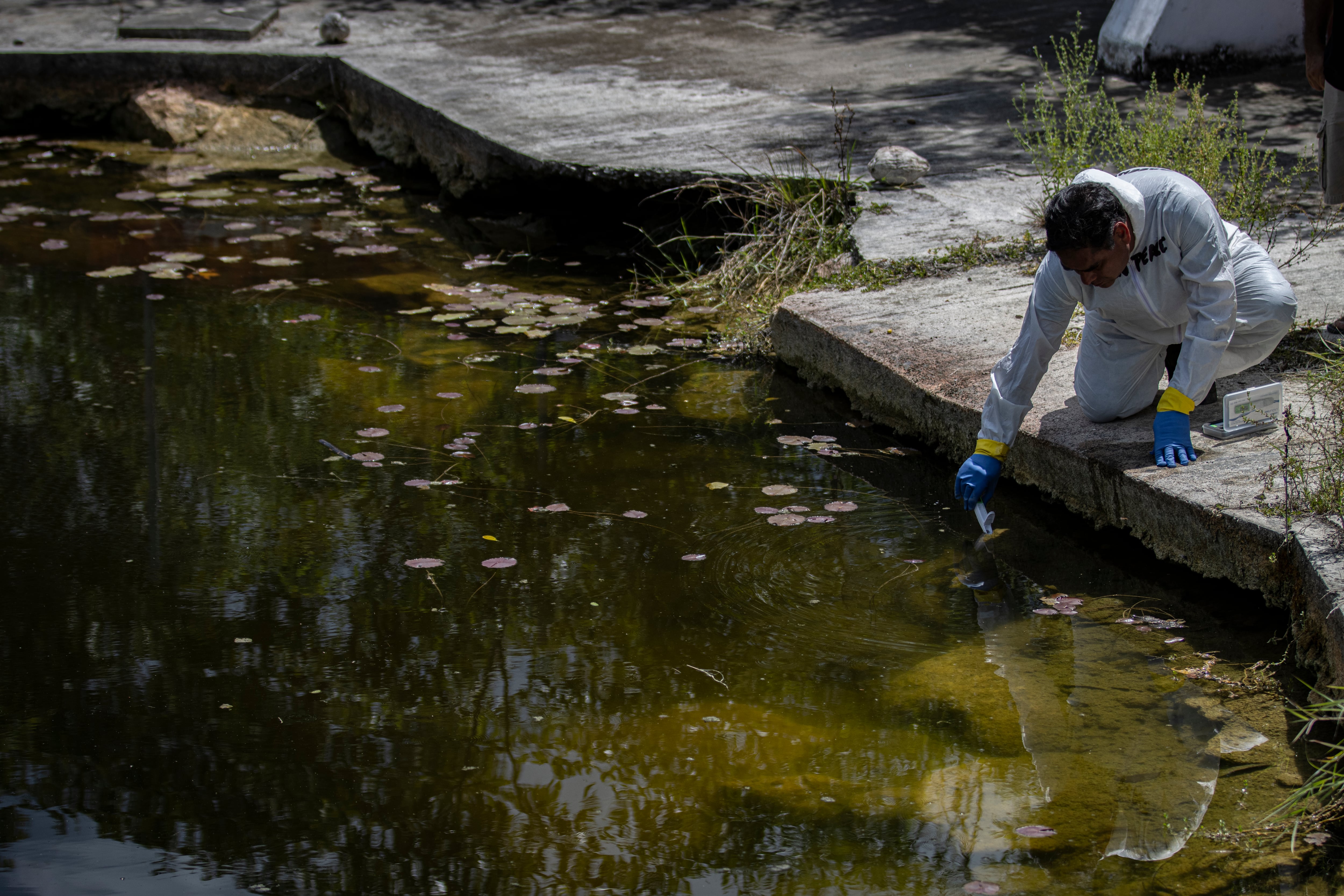 Personal de Greenpeace toma muestras de agua en un pozo que abastece al poblado de Celestún, en Yucatán.