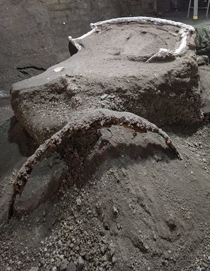 Una gran carroza ceremonial de cuatro ruedas, con elementos de hierro, decoraciones de bronce y estaño, restos de madera mineralizada, y huellas de elementos orgánicos, como las cuerdas, ha sido encontrada casi intacta en el área arqueológica de Pompeya (sur de Italia), la ciudad sepultada en el año 79 d.C. por la erupción del Vesubio.