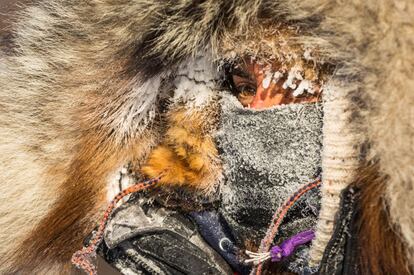 En la imagen, retrato de Musher Laura Allaway, participante en la carrera de trineos Iditarod 2015 en Alaska donde los competidores tienen que soportar unas temperaturas gélidas.