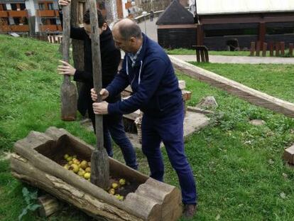 Proceso de machacado de la manzana. 