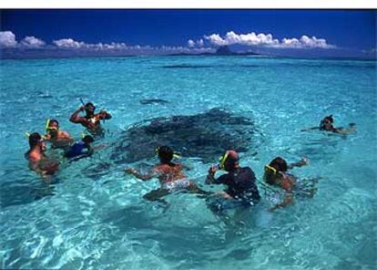 Un grupo de turistas practicando el snorkeling en Tahaa, vecina de Bora Bora y una de las islas de Sotavento del archipilago polinesio de la Sociedad.