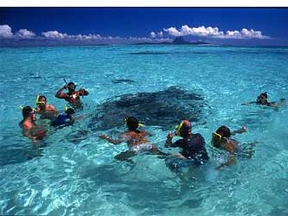 Un grupo de turistas practicando el snorkeling en Tahaa, vecina de Bora Bora y una de las islas de Sotavento del archipiélago polinesio de la Sociedad.