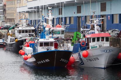 Pesqueros amarrados en el puerto de Vigo (Pontevedra), este miércoles.