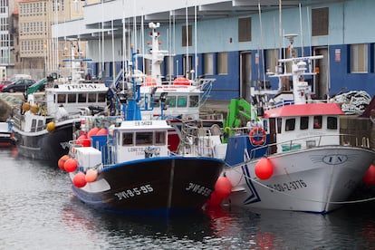 Pesqueros amarrados en el puerto de Vigo (Pontevedra), este miércoles.