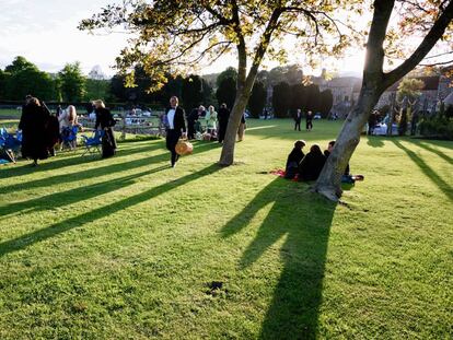 Esplendor en la hierba