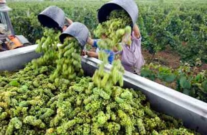 Un sello identificaré los productos españoles procedentes de buenas prácticas ambientales.