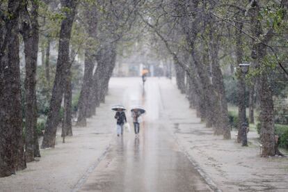 Aspecto del Parque del Retiro durante una nevada.