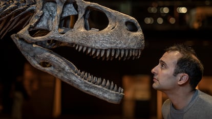 El paleontólogo Steve Brusatte, retratado en la exposición 'Dinosaurios de la Patagonia', en diciembre en CosmoCaixa (Barcelona).