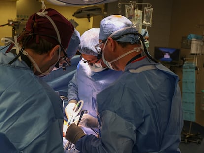 Cirujanos realizan el trasplante en el Hospital General de Massachusetts en Boston (EE UU), el 16 de marzo.