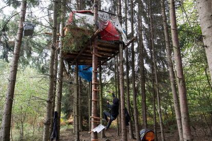 Un activista sube a una de las casas en un árbol, hoy ya destruida.