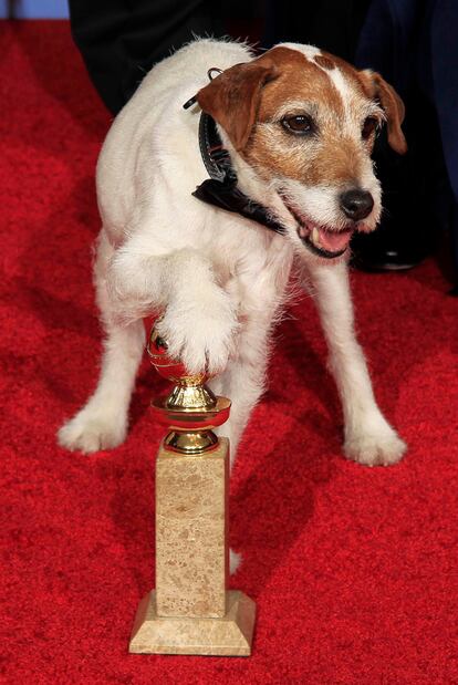 Uggie, el perro de la película <i>The Artist</i>, también celebró el éxito del filme.