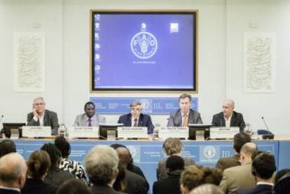 Joan Rib&oacute; en el encuentro de la FAO./ Ayuntamiento de Valencia