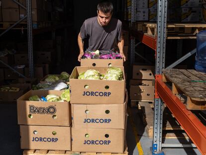 Un trabajador clasifica alimentos para su distribución, en la comuna de Cerro Navia, en Santiago, Chile.