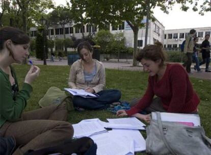 Estudiantes de la Universidad Autónoma repasan los apuntes en el césped.