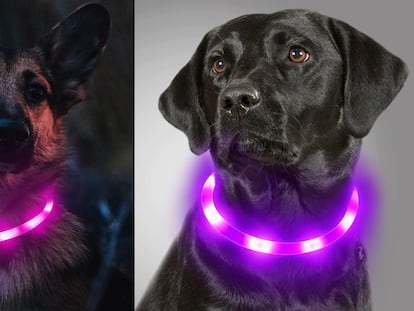 Dos ejemplos de los collares luminosos para perros que hemos probado. JOY TALE/AMAZON.