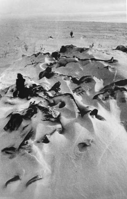 Soldado muertos, enterrados en la nieve en Stalingrado.