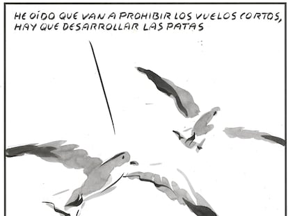 El Roto