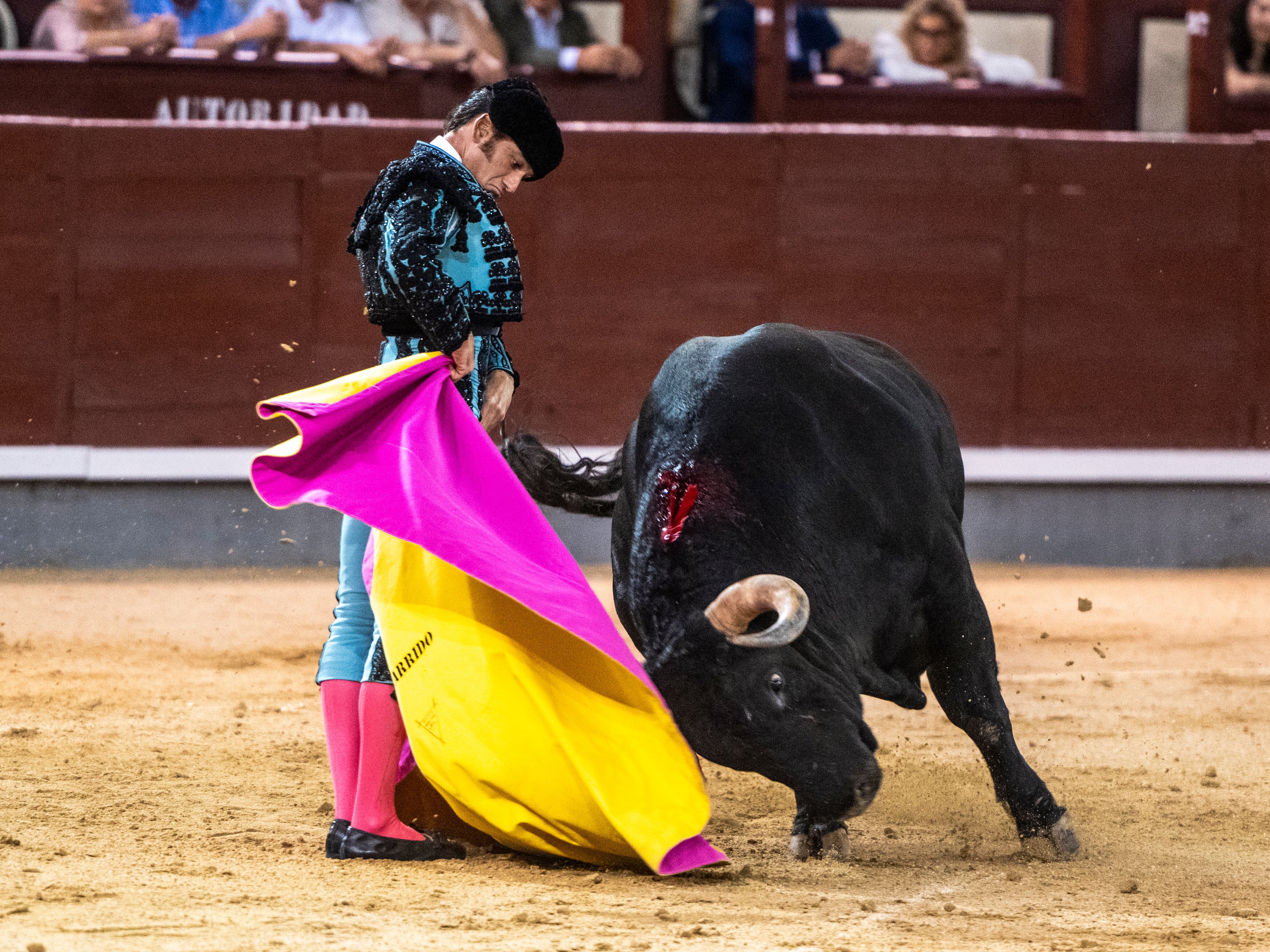Media verónica de José Garrido al primer toro de su lote.