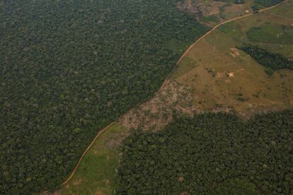 Dondequiera que se construyan caminos en el Amazonas, la deforestación sigue. En esta imagen, se ve cómo la selva comienza a desmatarse en las orillas de una carretera cercana a la reserva nacional natural Nukak, en el Guaviare.
