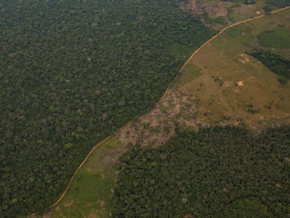 El Amazonas deforestado, en Guaviare, Clombia, el 27 de mayo de 2023.