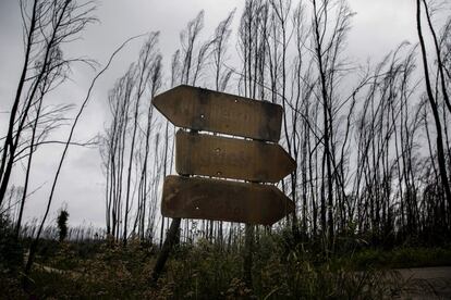 Las se?ales de la zona cero de los incendios de Pedrg?o Grande, Noudeirinho, continan calcinadas. Ni el municipio ni los vecinos han recibido ayudas oficiales para recomponer sus vidas.