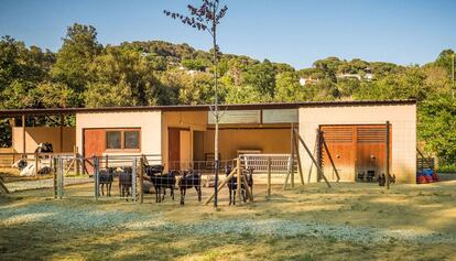 La granja de l'ecoresort.