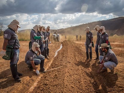 Agricultores en Brasil, reciben entrenamiento sobre suelos.