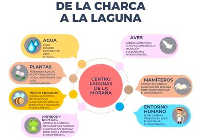 Gráfico curricular del proyecto 'De la charca a la laguna'.