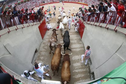 Los toros de la ganadería de Jandilla llegan a la plaza de toros de Pamplona.