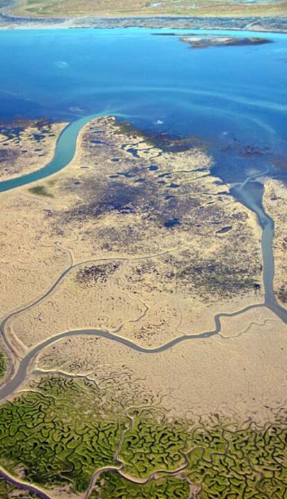 Imagen del libro editado por la Consejería de Medio Ambiente de la Junta de Andalucia donde se recogen fotografías tomadas por la red de voluntarios ambientales en el Parque Natural Bahía de Cádiz el pasado mes de marzo de 2011 cuando se produjeron unas excepcionales mareas.