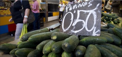  Pepinos por los suelos. Foto: García Santos