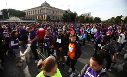 El objetivo de la carrera es concienciar de la necesidad de ofrecer un trato digno a los animales, de promover la acogida de perros de protectoras en lugar de su compra y de celebrar que los compañeros caninos son buenos compañeros también en la ciudad y en el deporte.