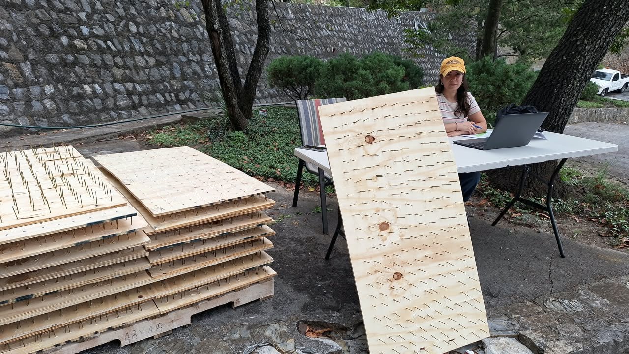Monterrey pone tablas con clavos para ahuyentar a los osos