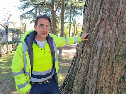 Miguel Yagüe, maestro jardinero de La Dehesa de Soria, se apoya en la gran secuoya del jardín.