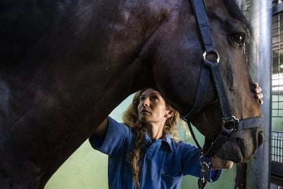 El caballo se mueve sobre cuatro patas y el peso se reparte entre ellas, por lo que las lesiones de estos animales suelen ser diferentes a las de las personas.