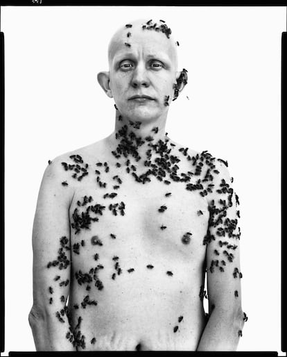 El apicultor Ronald Fischer, en Davis, California, el 9 de mayo de 1981.
