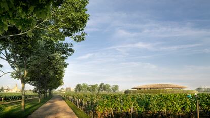 Edificios 2021 - Le Dôme Winery, Foster