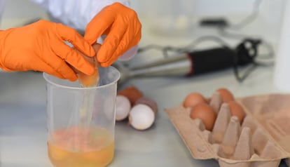 Un técnico analiza huevos en un laboratorio de Erlangen, en Alemania.